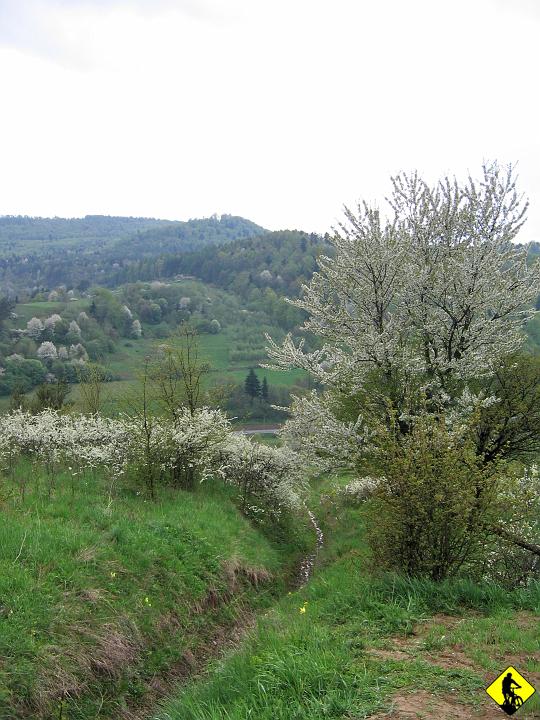fot 080.jpg - Oto odpowiedź :/ Ten wąski strumyczek to ścieżka czerwonego szlaku.